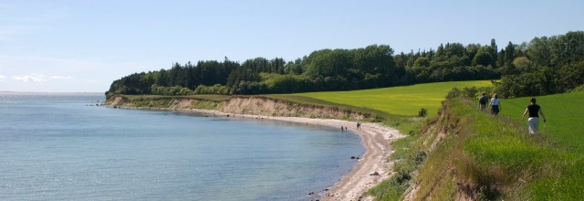 Naturplan Danmark kommer i 2014, siger regeringen nu. Men hvornår træder Den Danske Naturfond, som skal finansiere ny natur, i funktion? (Foto: Michael Stoltze).