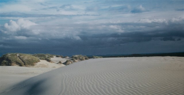 Kæmpevindmøllerne i  Gårdbo Sø vil rage godt op forstyrre oplevelsen af bl.a, Råblerg Mile. (Foto: Michael Stoltze).