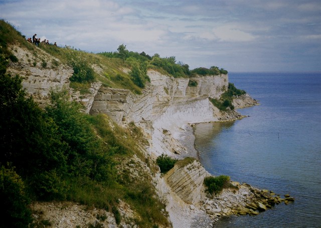 Stevns Klint med de berømte spor af den sidtse store masseuddøen - den 5. masseuddøen, hvor 75 % af alle arter (herunder dinosaureren) uddøde for 65 millioner år siden. Nu er den 6. masseuddøen formentlig i gang. Den er mennskeskabt, og kan forhindres, hvis vi vil. (Foto: Michael Stoltze).