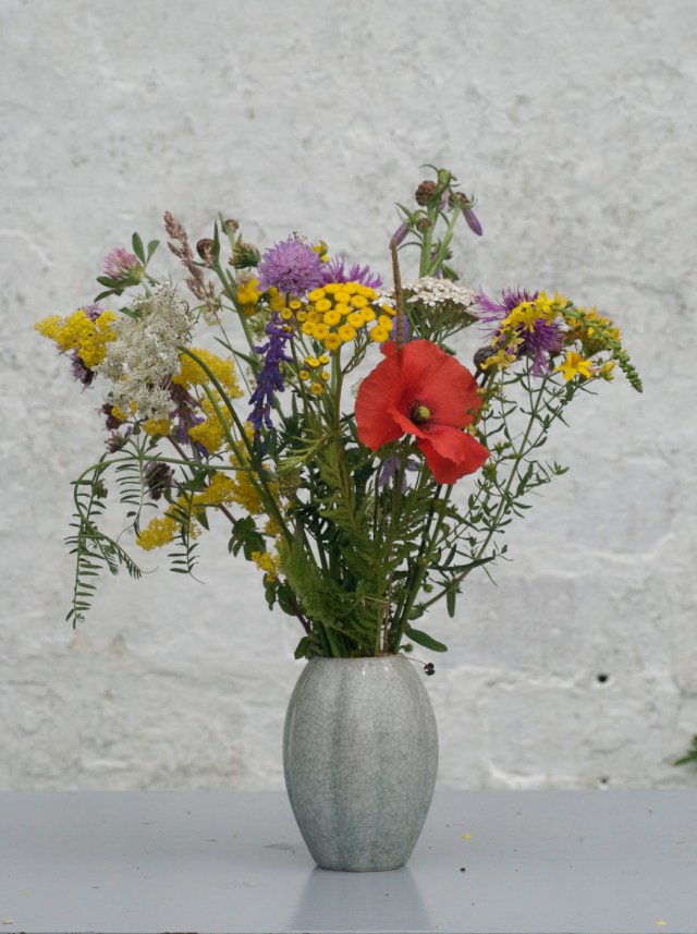 En farverig buket fra en ugødet  grøftekant. (Foto: Michael Stoltze).