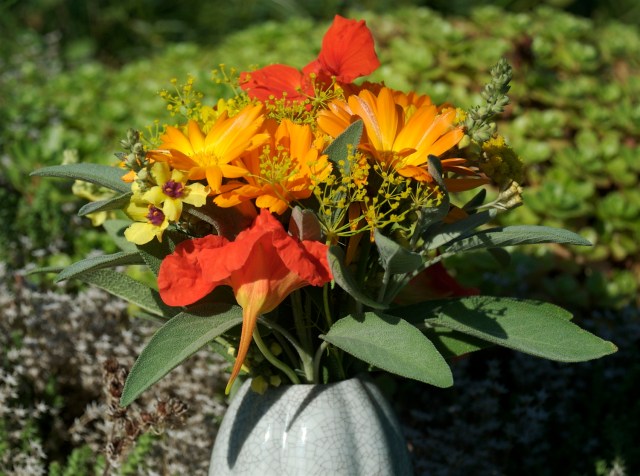 Lidt salvieskud i bukketen forhindrer blomstervandet i at udvikle dårlig lugt. (Foto: Michael Stoltze).