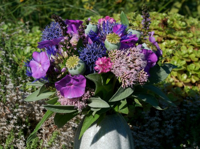 Salvieskud klæde ofte buketter. (Foto: Michael Stoltze).