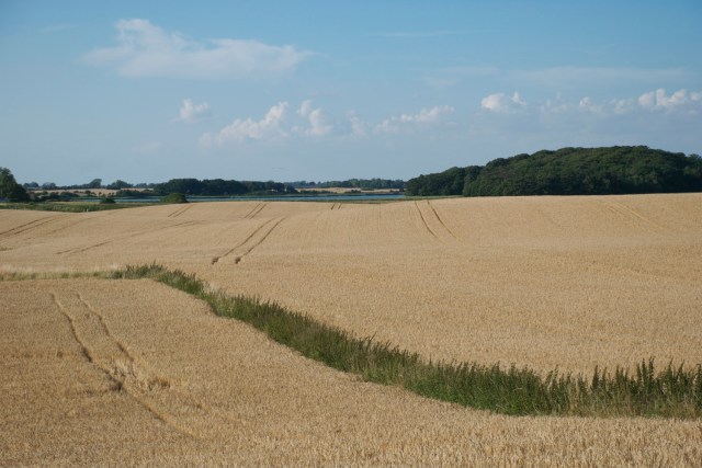 Vi skal være stolte af landbruget. (Foto: Michael Stoltze).