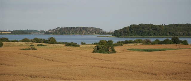 Planlægning, finansiering og god lovgivning er nødvendig for at sikre spændende landskaber og mangfoldig natur. (Foto: Michael Stoltze).