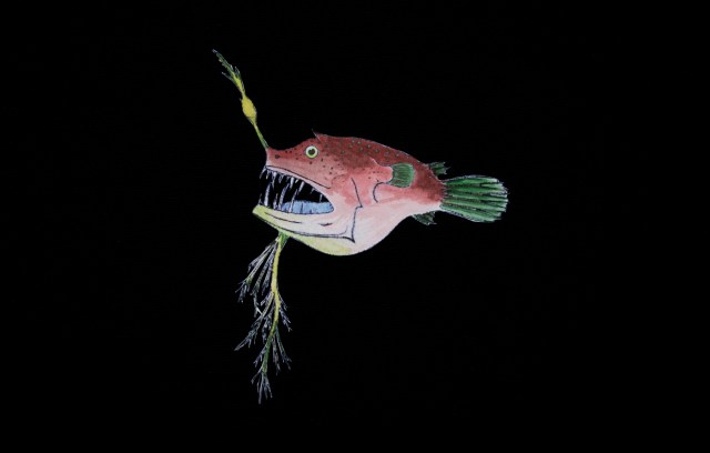 tudsefiskens skaebne_2