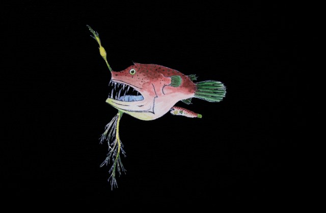 tudsefiskens skaebne_4