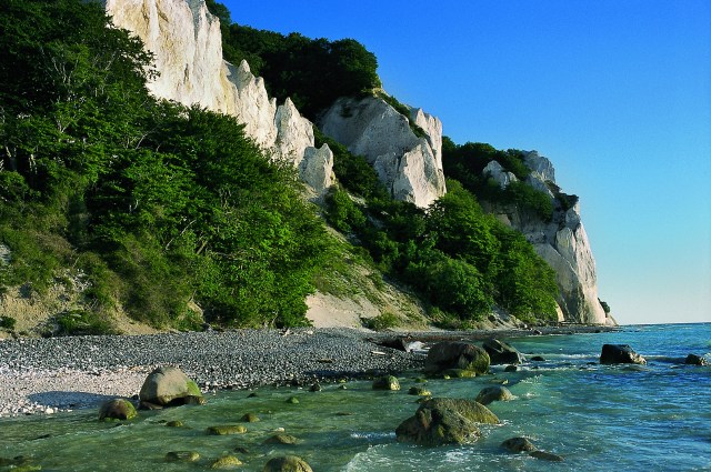 Nationalparloven skal revideres. Nationalparker skal ligesom i andre lande være helliget vild natur som f.eks. Møns Klint, der kunne blive et storslået ikon fro Danmarks nationalaprker i fremtiden. (Foto:  Michael Stoltze).