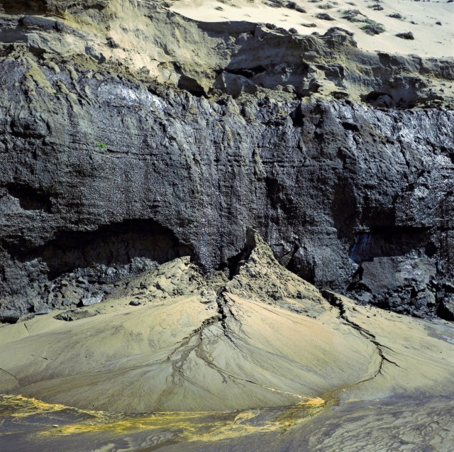Vild natur ved Rubjerg Knude i Nordjylland. (Foto: Michael Stoltze).