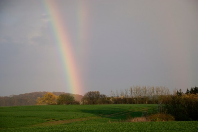 Regnbuerne over Holsteinborg Nor lidt tættere på. Refleksionsbuen til højre og den primære regnbue til venstre. (Foto: Michael Stoltze). 