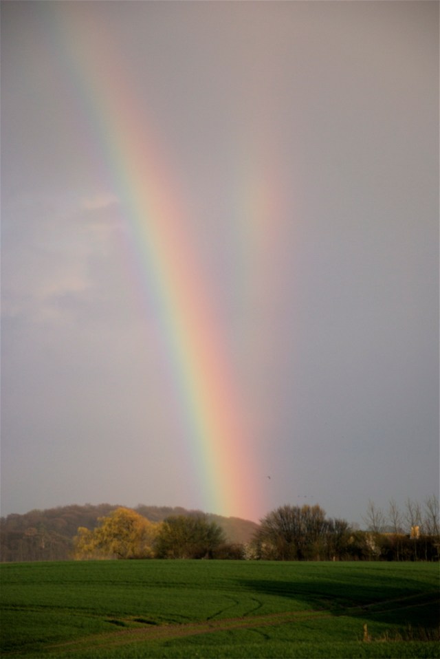 Regnbuen (t.v.) og refleksionsregnbuen (t.h.) over Holsteinborg Nor på tæt hold. (Foto: Michael Stoltze).