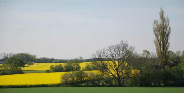Altingen dukomentation af regeringen interne strid om Der Danske Naturfond illustrerer, at regeringen mangler fodslag om bæredygtig udvikling.