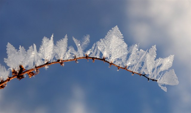 taage_rim-efter-rimtaage