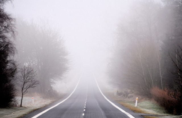 taage_vej-til-almindingen