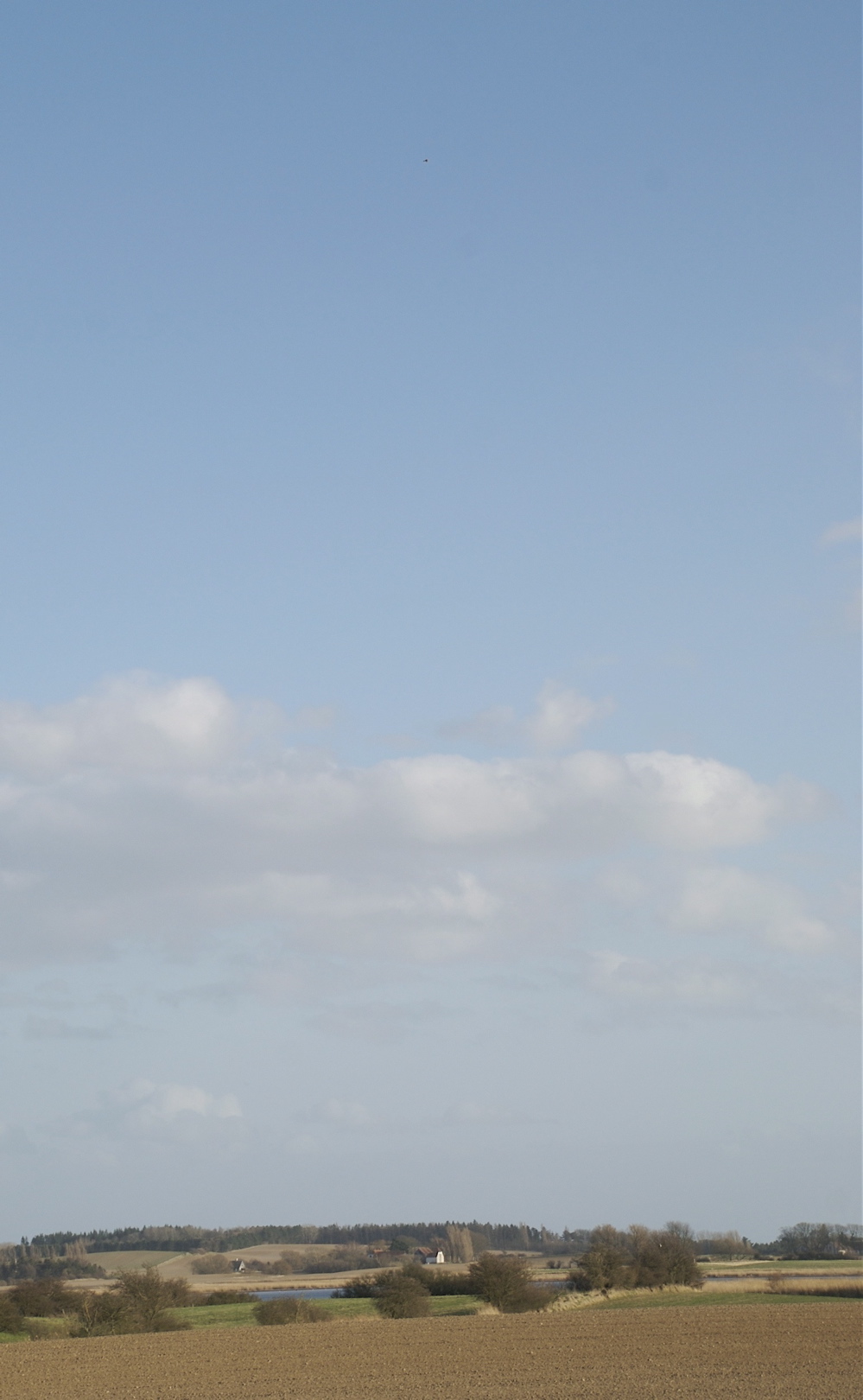 Sanglærke. En prik på himlen over et smukt bondeland ved Glænø. (Foto: Michael Stoltze).