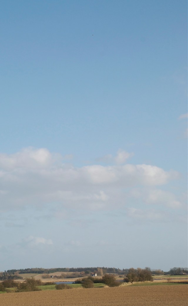 Sanglærke. En prik på himlen over et smukt bondeland ved Glænø. (Foto: Michael Stoltze).