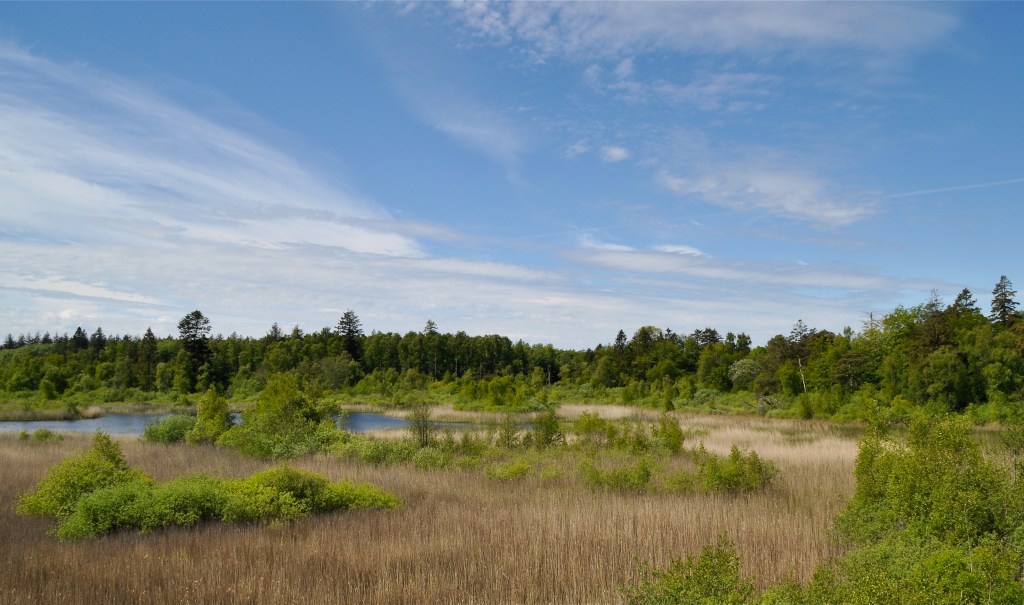 Dette billede har ingen alternativ tekst; filens navn er nationalparkerne-kommer_bastemose.jpg